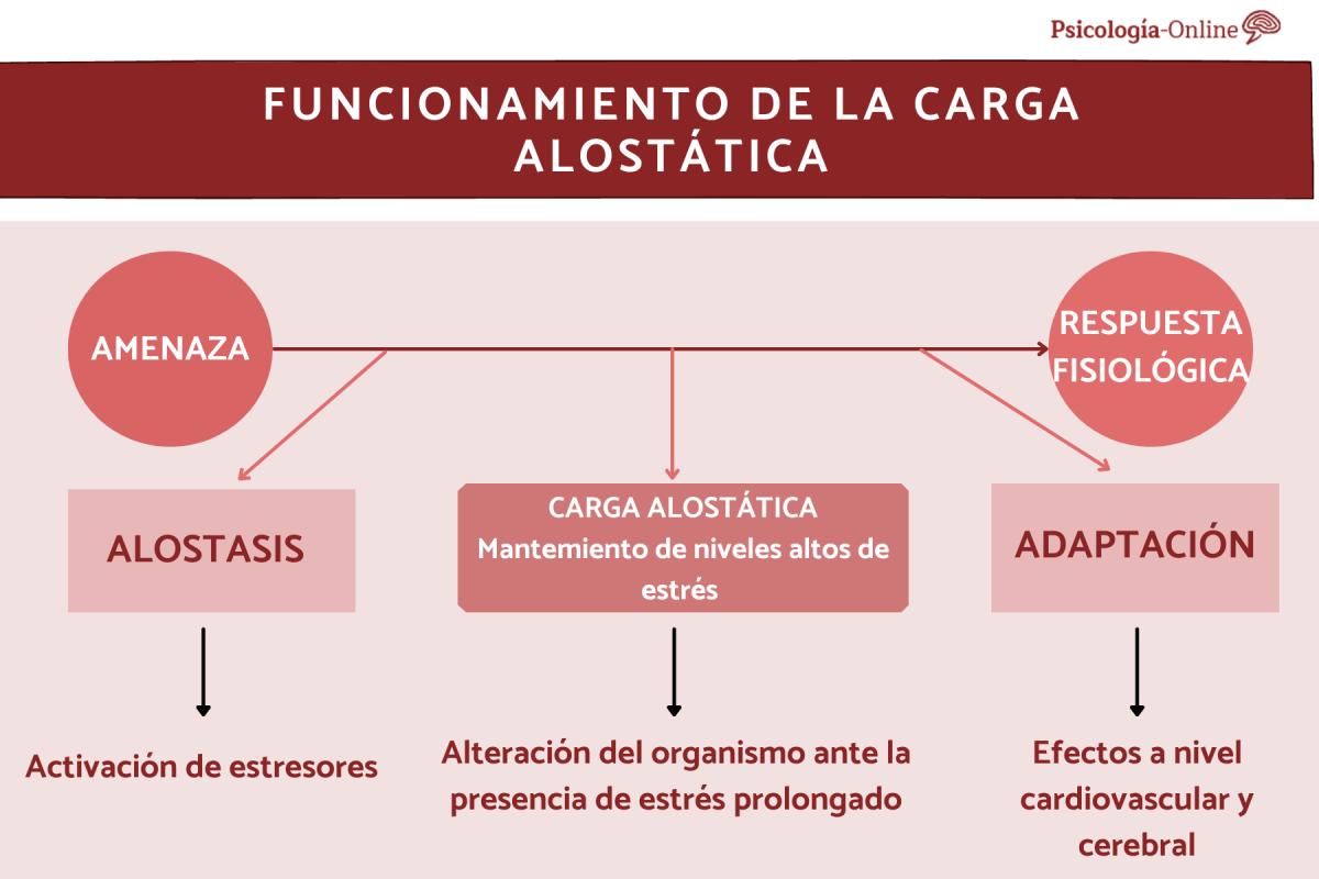 Características del funcionamiento de la carga alostática
