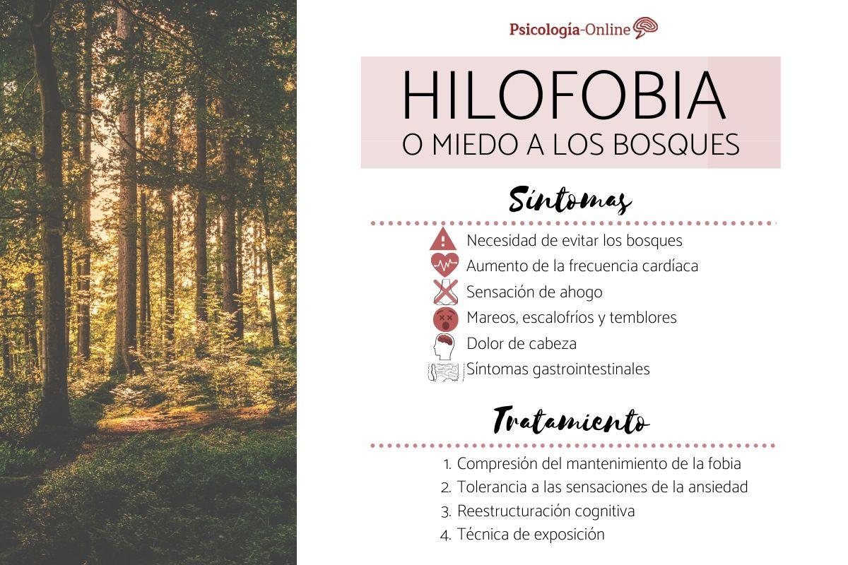 Miedo a los bosques o hilofobia: síntomas, causas y tratamiento