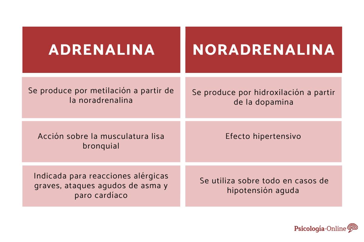 Diferencias entre adrenalina y noradrenalina