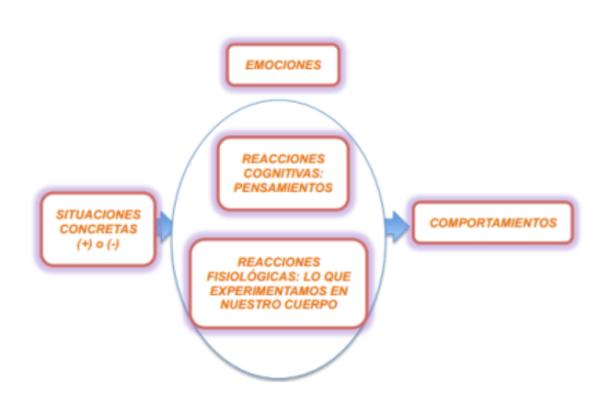 Sobre la inteligencia emocional - ¿Para qué nos sirven las emociones?