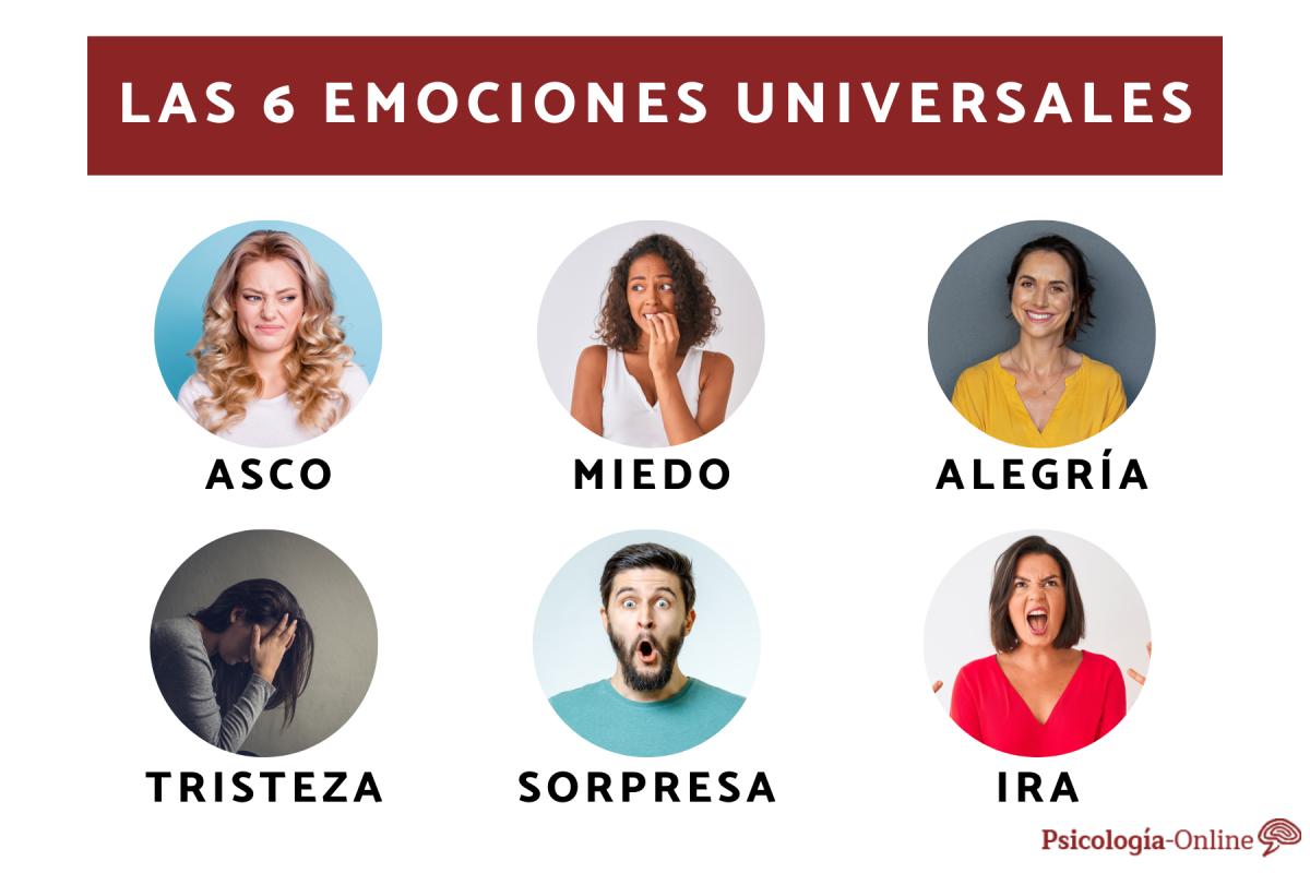 Cuáles son las emociones universales: lista y ejemplos