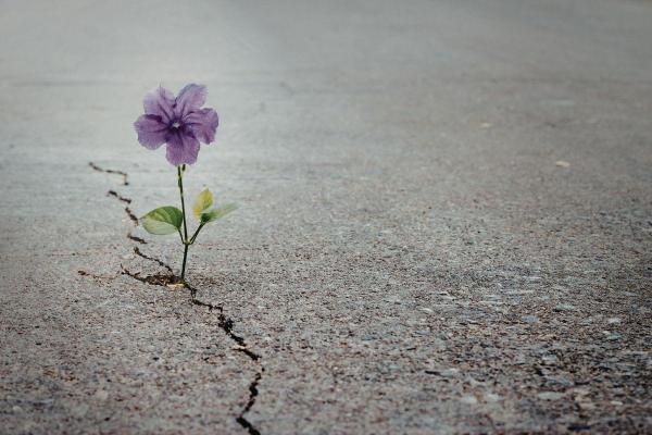 Resiliência emocional: o que é e como aplicá-la? - Características da resiliência emocional 