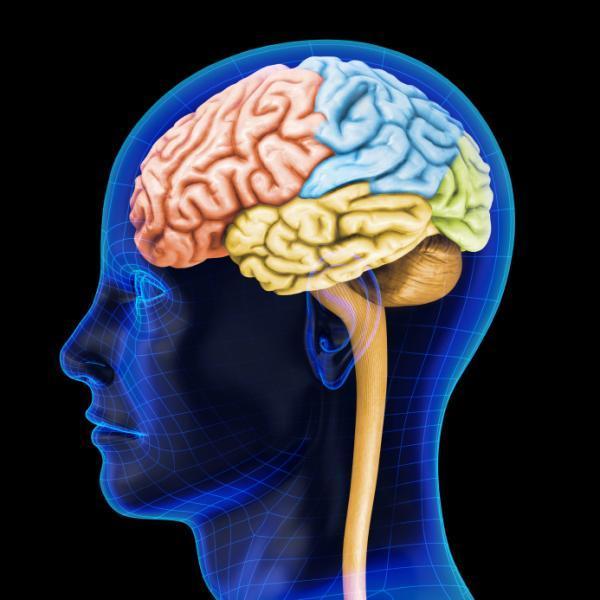 Inteligência cristalizada: o que é e exemplos
