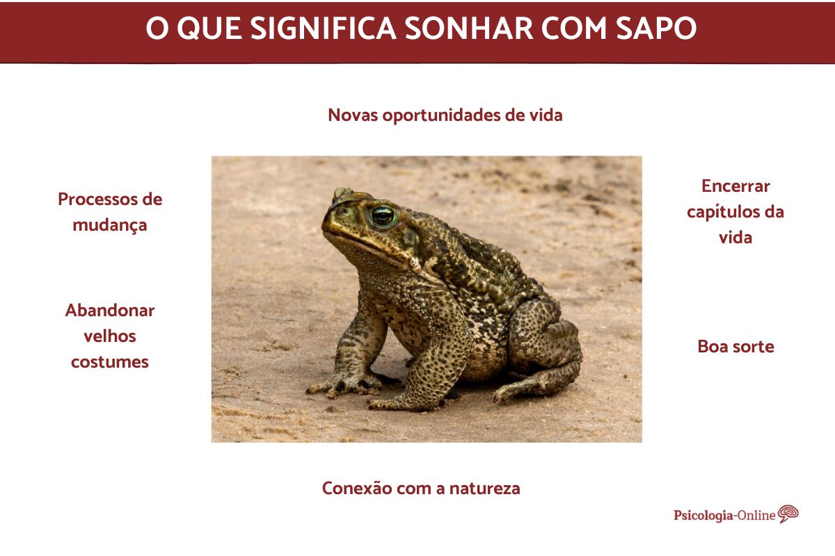 O que significa sonhar com sapo