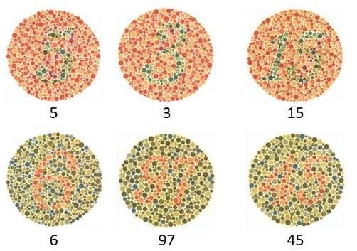 Teste de Ishihara: placas e interpretação