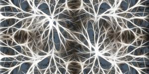 Neurotransmissores: tipos, função e classificação