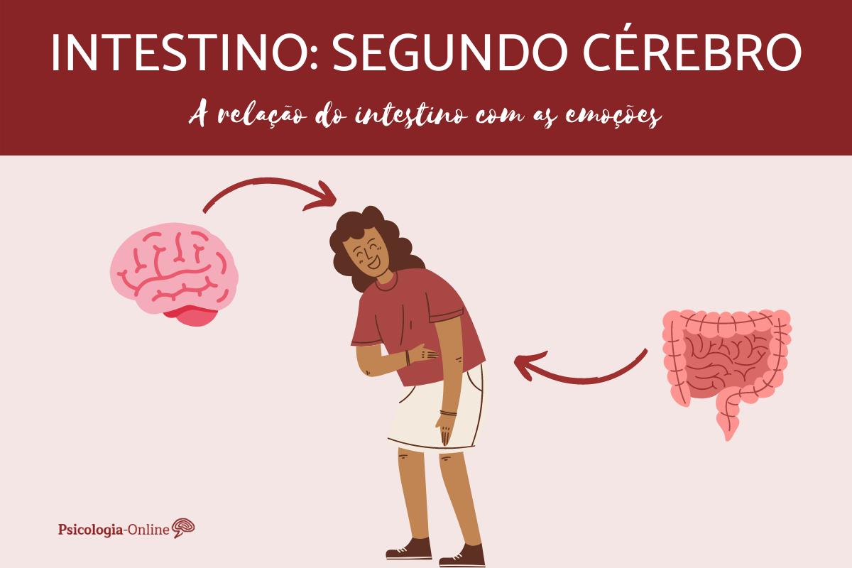 Sistema nervoso entérico e sua fisiologia