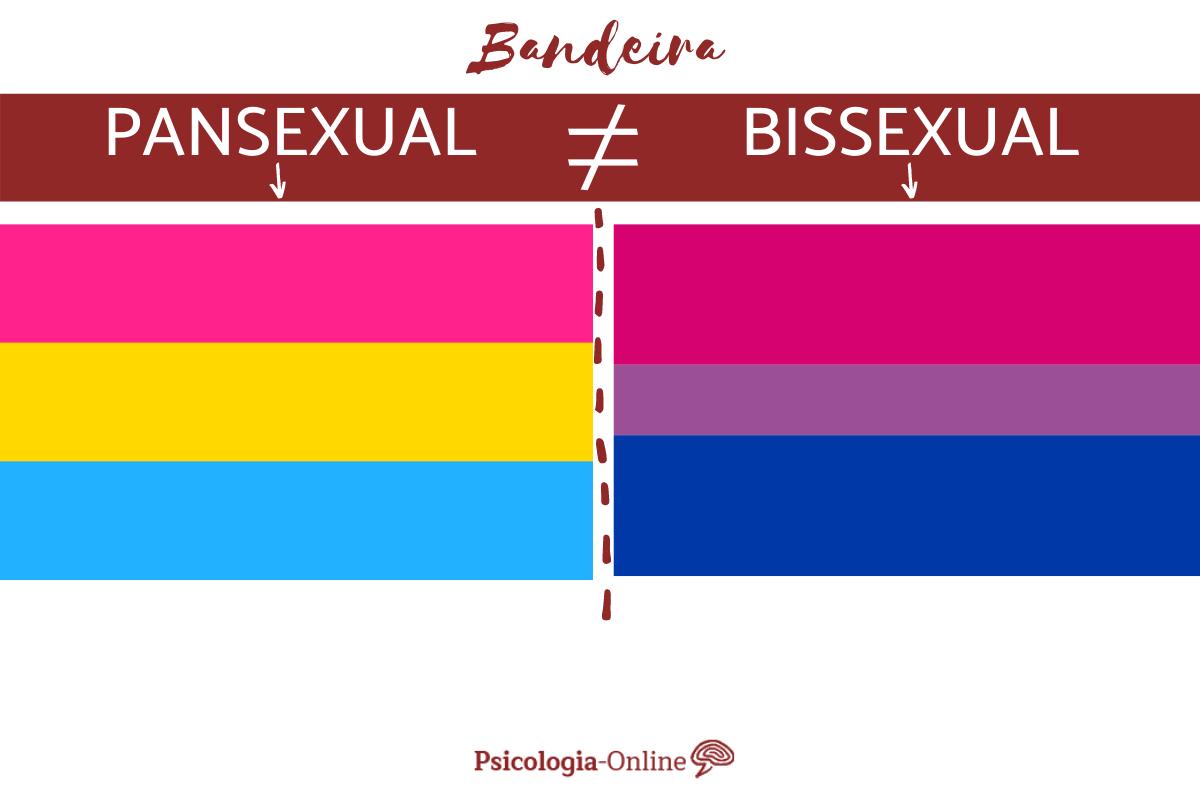 O que é a PANSEXUALIDADE? - Definição e características
