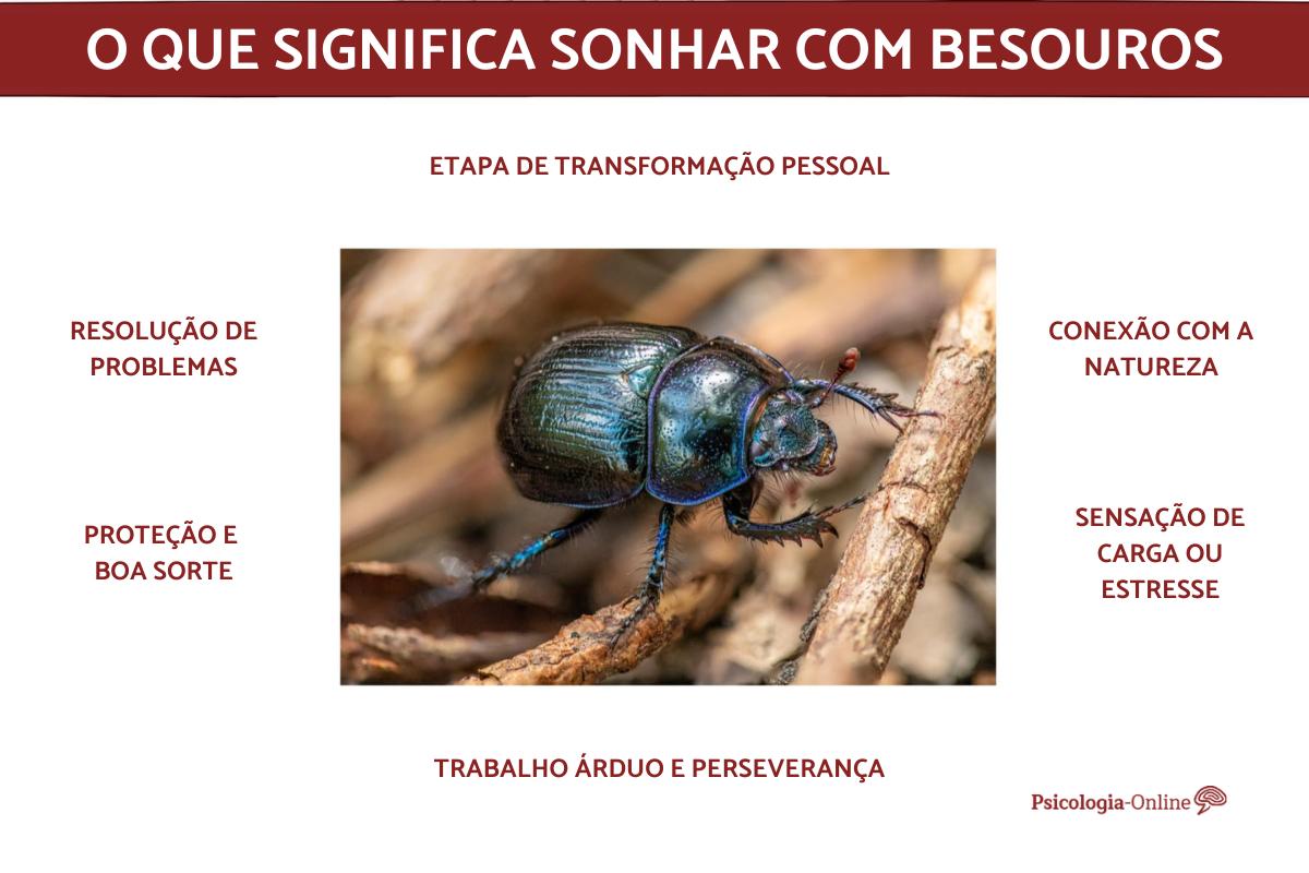O que significa sonhar com besouro?