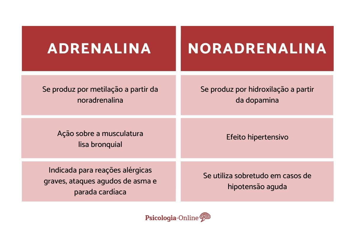 Diferenças entre adrenalina e noradrenalina