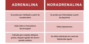 Diferenças entre adrenalina e noradrenalina