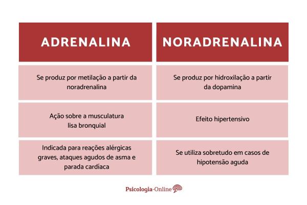 Diferenças entre adrenalina e noradrenalina