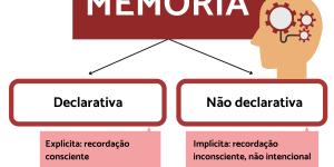 Memória declarativa: o que é, tipos e exemplos
