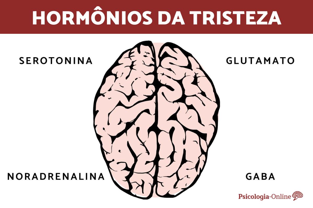 Hormônio da tristeza: qual é, onde é produzido e como funciona