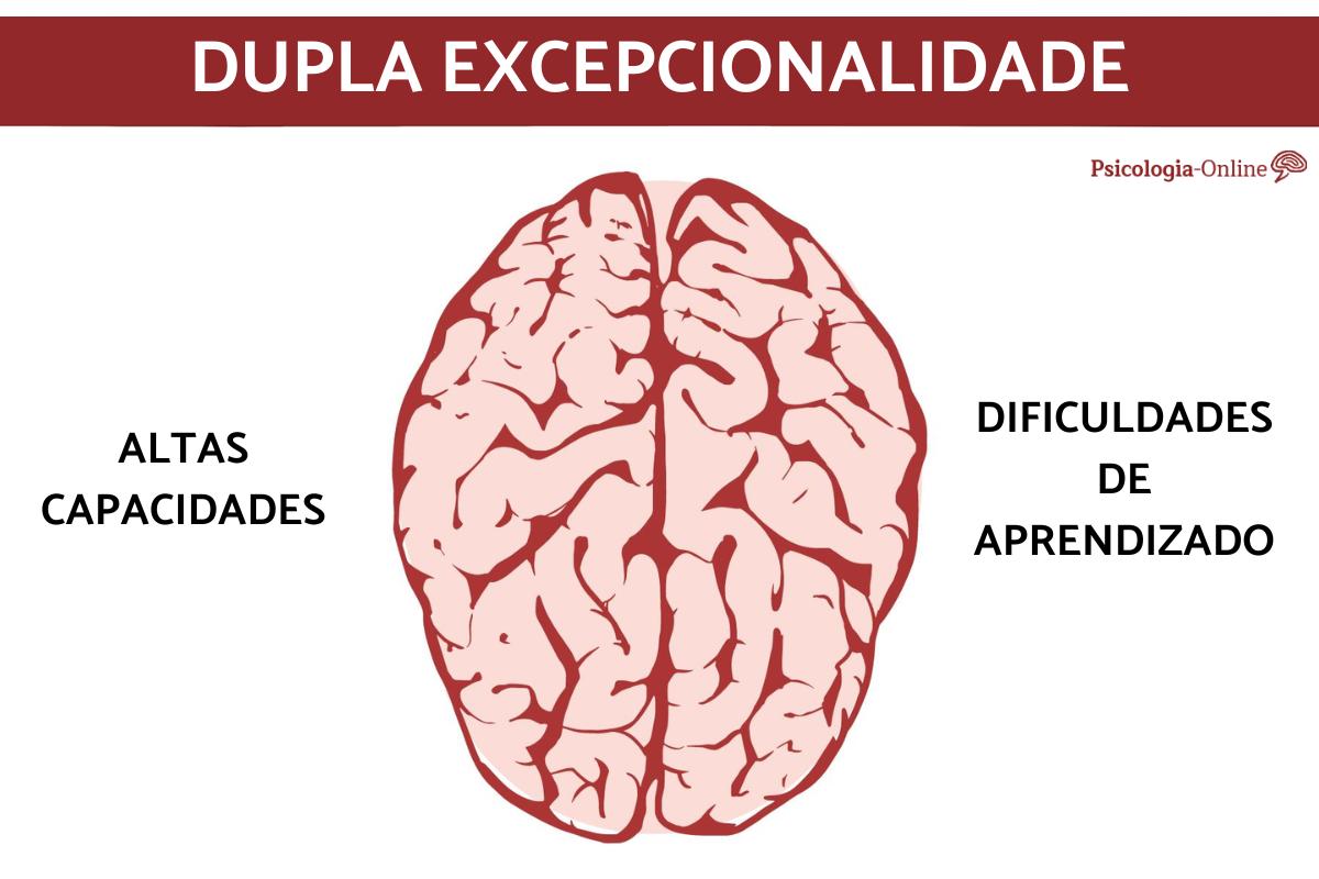 Dupla excepionalidade: o que é e como identificá-la