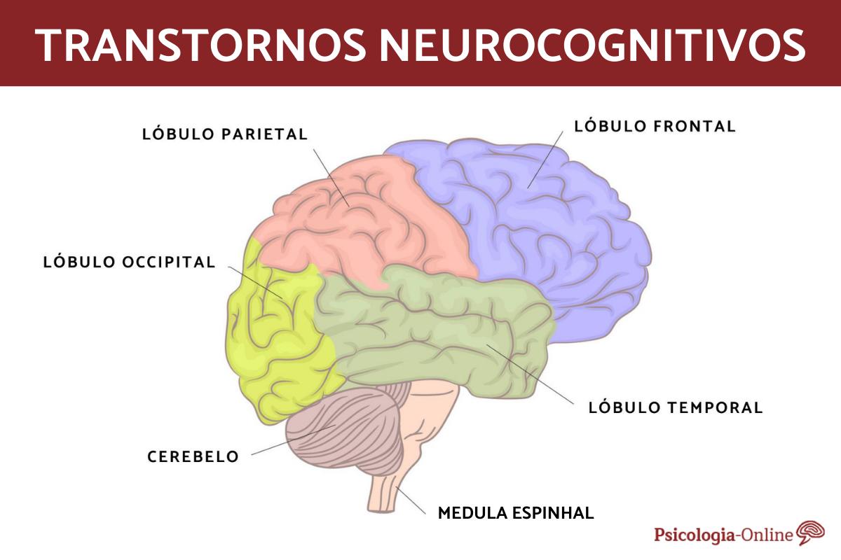 Transtornos neurocognitivos: o que são, tipos, causas e tratamento