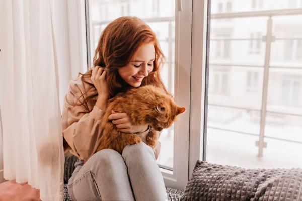 Como os animais podem ajudar na saúde mental? - Combate a solidão