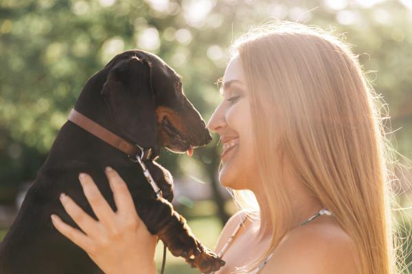 Como os animais podem ajudar na saúde mental? - Melhora o humor