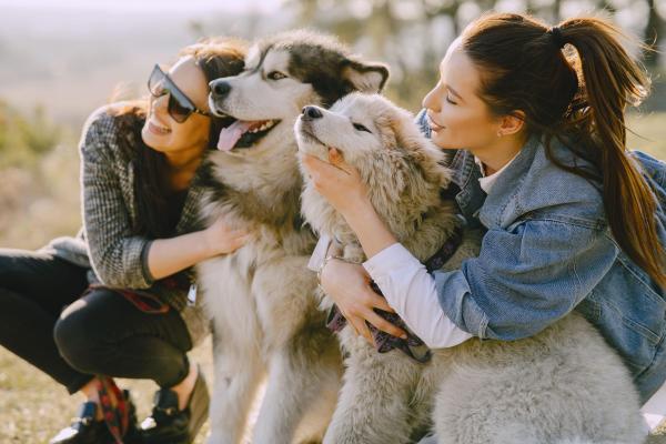 Como os animais podem ajudar na saúde mental? - Promove vínculos sociais